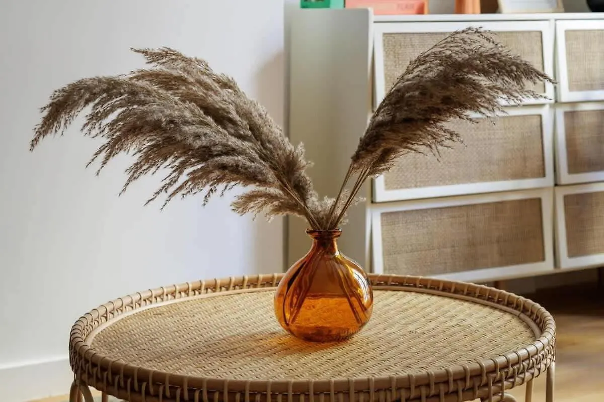 Sereners - Charming Serviced Apartments - Saint Germain Paris 0*,  França